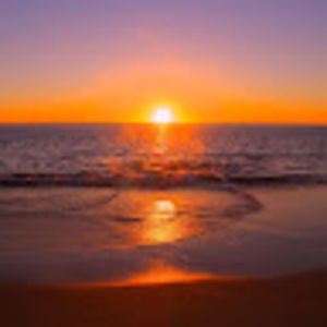 Meet your Posher, Audrey